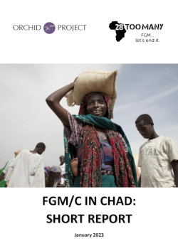 FGM/C in Chad: Short Report (English)